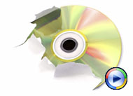 A CD rips through the page (Windows Media Player version).